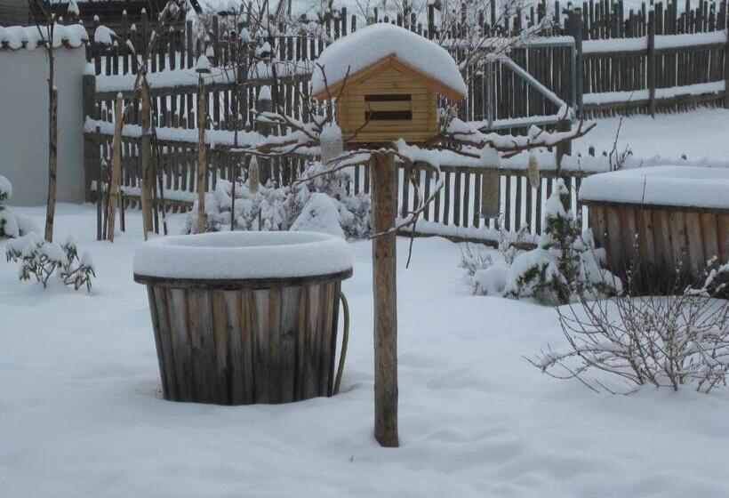 Suzanne's B&b & Gardens