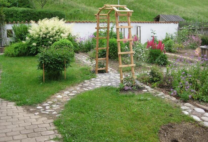 Suzanne's B&b & Gardens