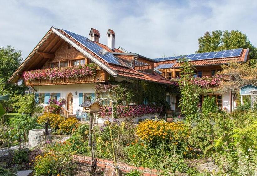 Suzanne's B&b & Gardens