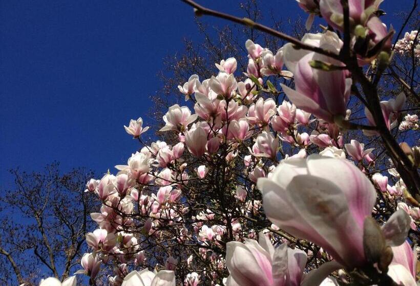 Villa Zur Erholung Bed & Breakfast