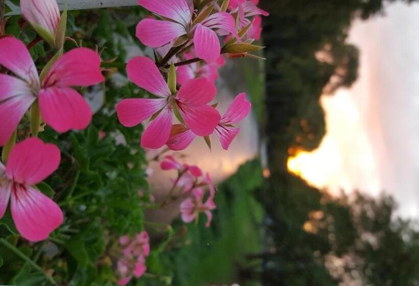 Aparthotel Am Kurpark