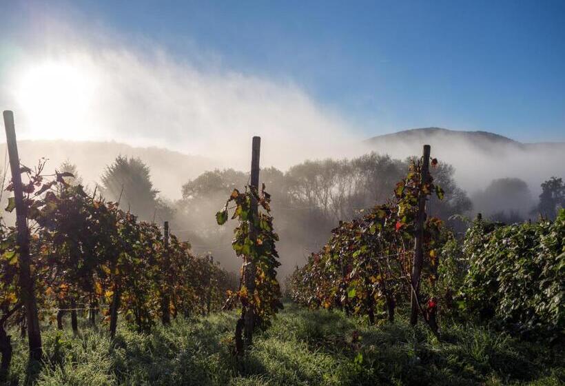 Aparthotel Am Kurpark