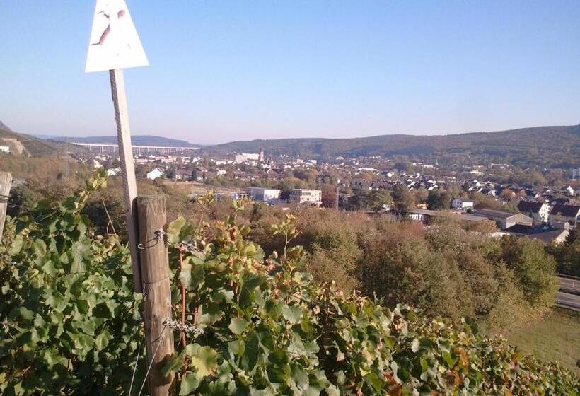 Aparthotel Am Kurpark