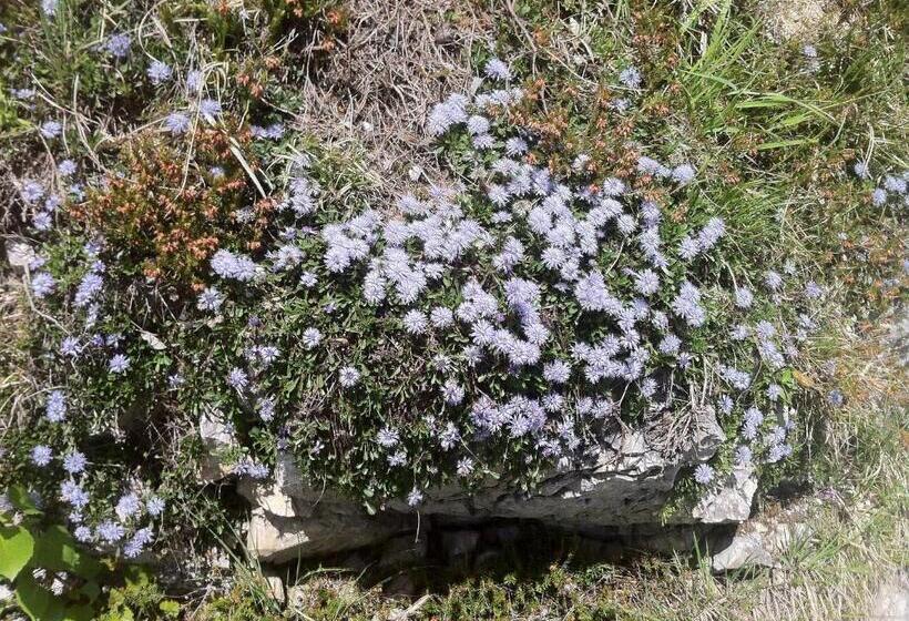 Bäckeralm© B&b 16 +