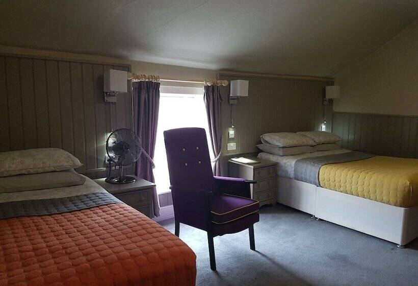 مبيت وإفطار Bull