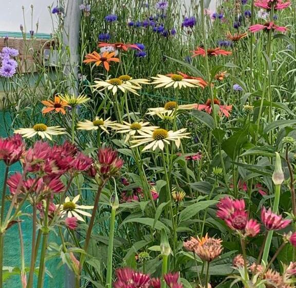 Ceo Mara Croft B&b & 2 Luxury Cabins