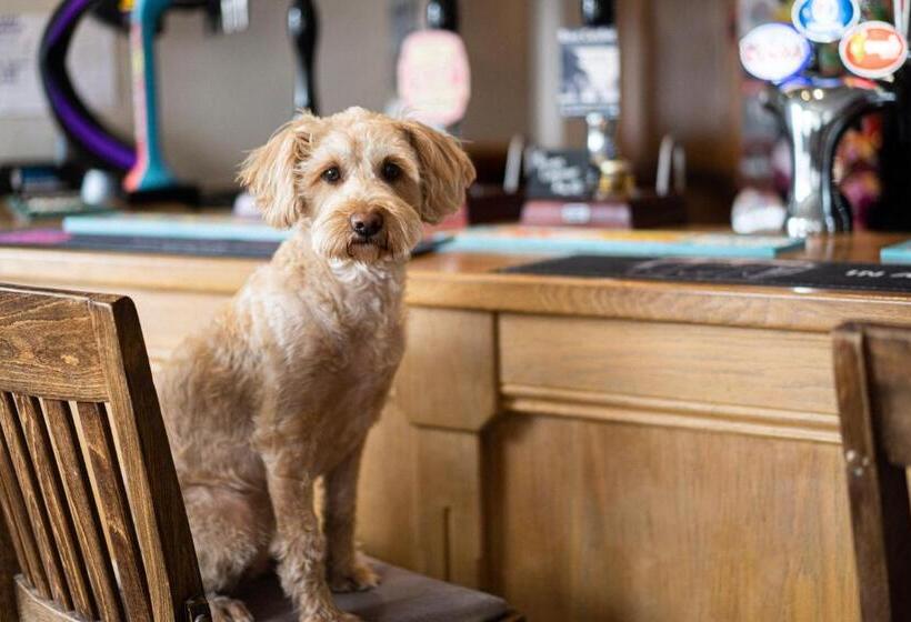 住宿加早餐  Masons Arms Amble