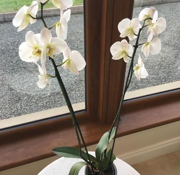 Mourne Country House Bed And Breakfast