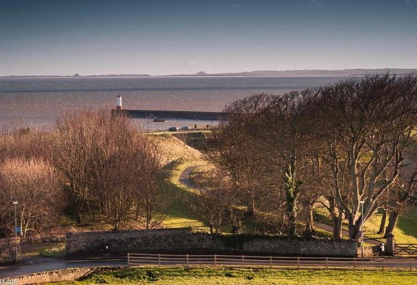 مبيت وإفطار Cara House