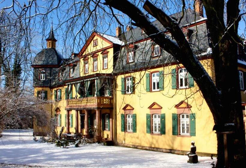 Отель Am Palais