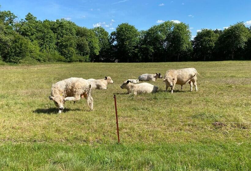 酒店 Berggasthof Bayernturm