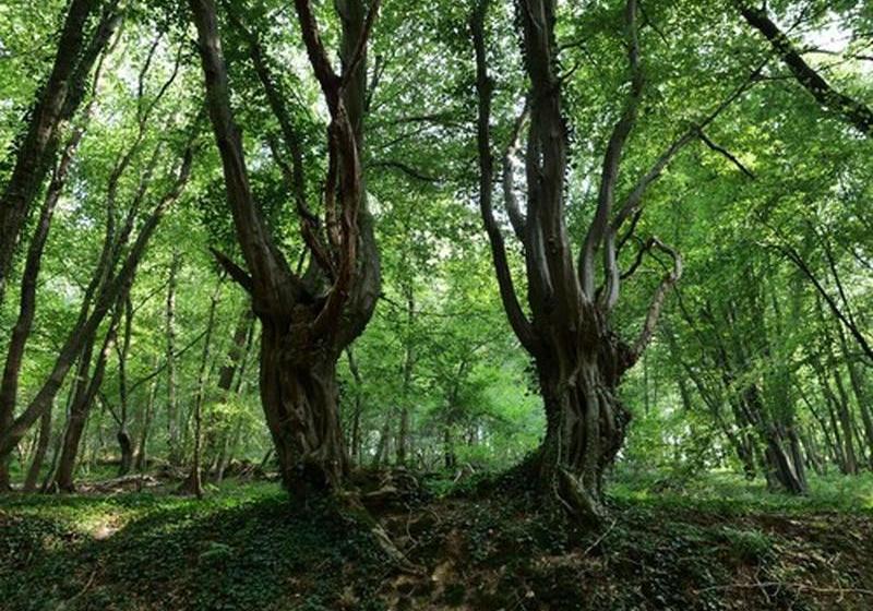 Отель Domapartments Aachen City