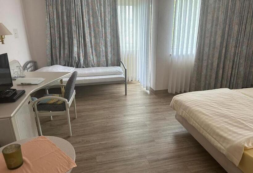 호텔 Garni Classico