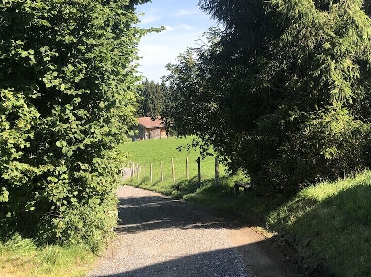 酒店 Garni Oberdorfer Stuben