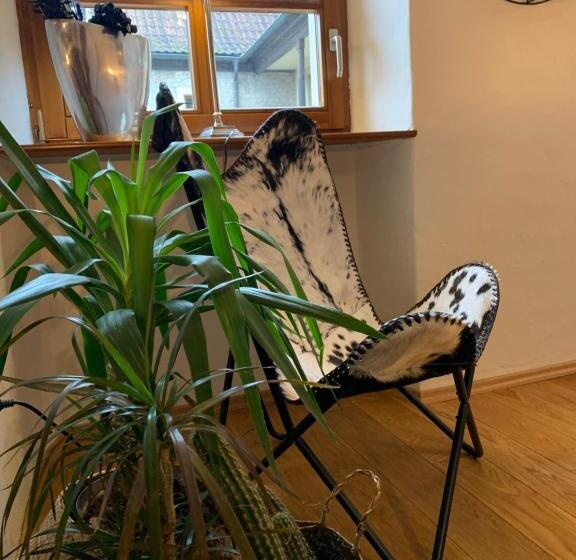 Отель Gasthof Zum Storch