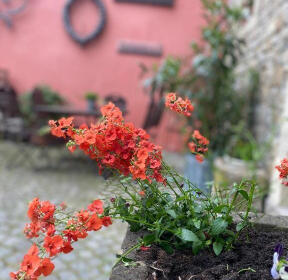 Отель Gasthof Zum Storch