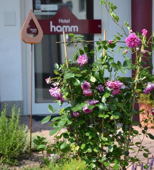 Отель Hamm