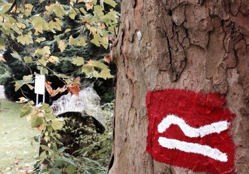 בית מלון כפרי Hochheide