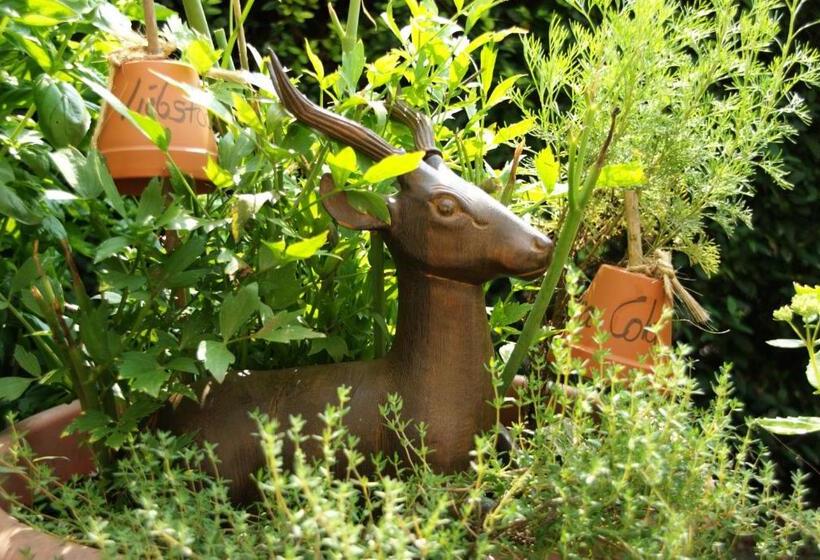 Отель Landgasthof Zum Hirschen