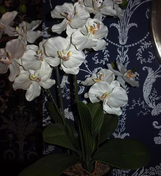 בית מלון כפרי Magpies Restaurant With Rooms