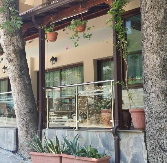 בית מלון כפרי Minaides