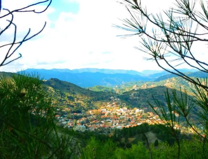 Mountain Rose Hotel & Restaurant