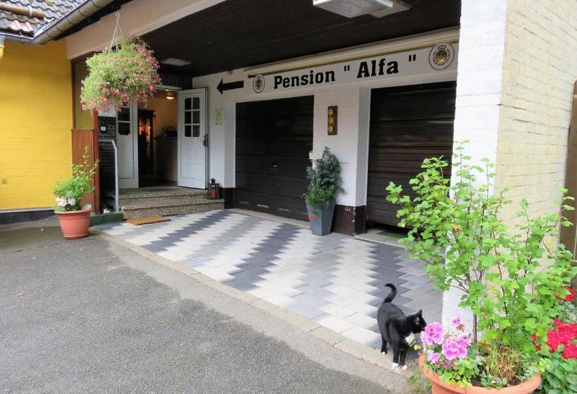 هتل Pension Alfa