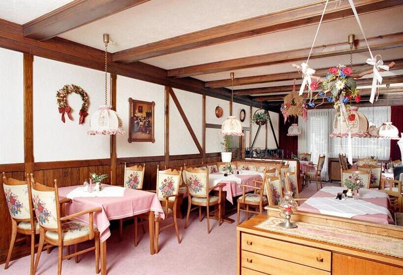 Отель Pension Bergkranz