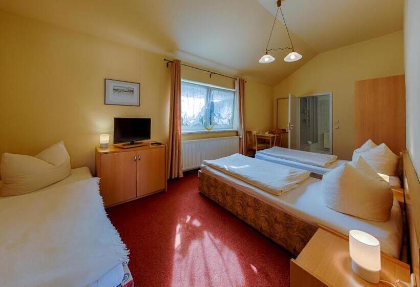 Отель Pension Lender