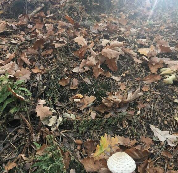 酒店 Prinz Albrecht