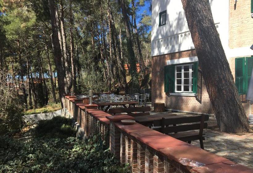 Semiramis Boutique Hotel & Spa