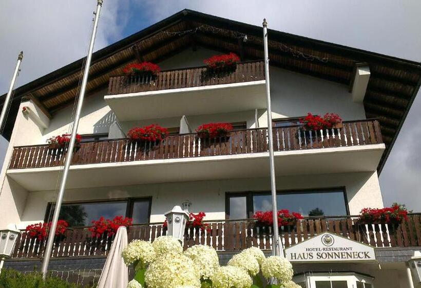 酒店 Sonneneck
