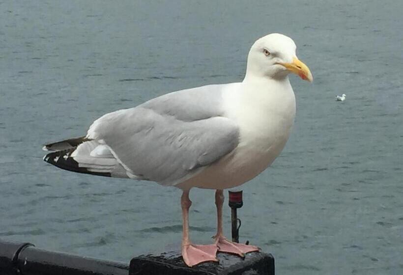 호텔 The Woodlands