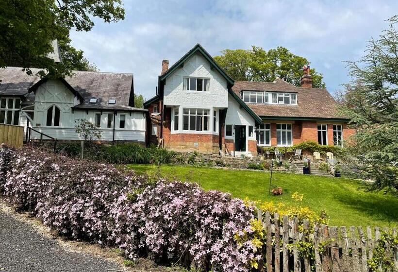 호텔 The Woodlands