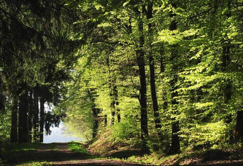 ホテル Wildenburger Hof