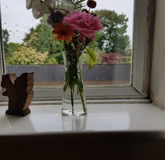 Kingsmede Bed & Breakfast