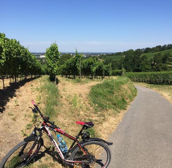 호텔 Schützenhof Spa Garden