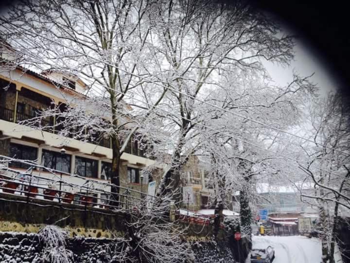 Mountain Rose Hotel & Restaurant