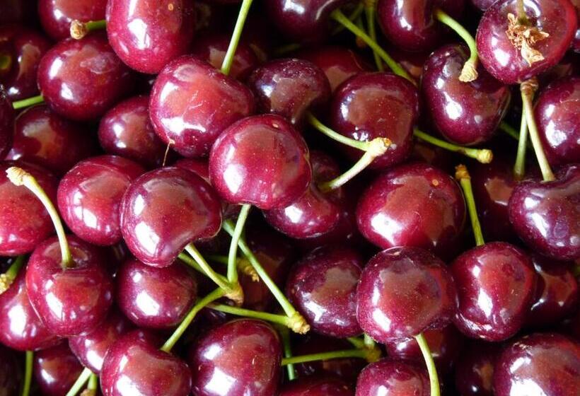 Mountain Rose Hotel & Restaurant