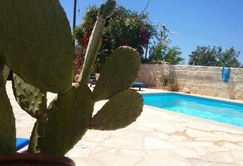 Prickly Pear