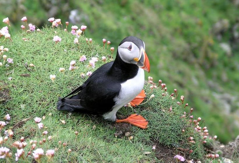 Aald Harbour Bed & Breakfast