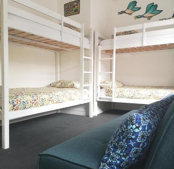 Общежитие Igloo Hybrid