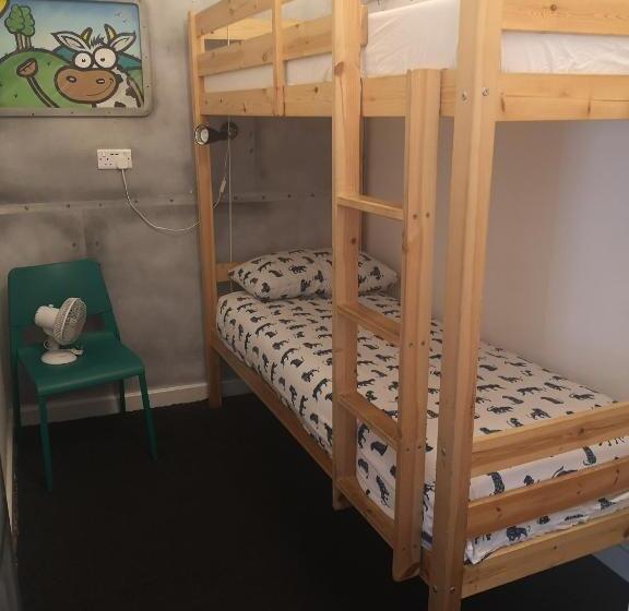 Общежитие Igloo Hybrid