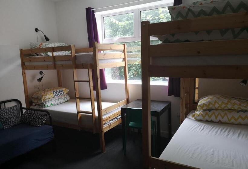 Общежитие Igloo Hybrid