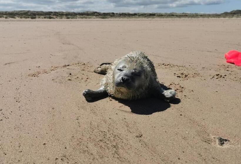 민박 Anchoragewells Next The Sea