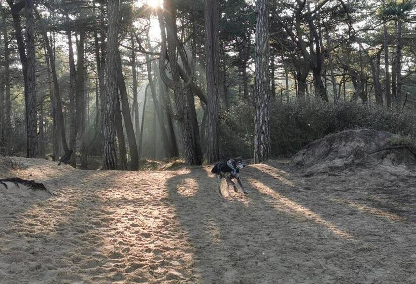 민박 Anchoragewells Next The Sea