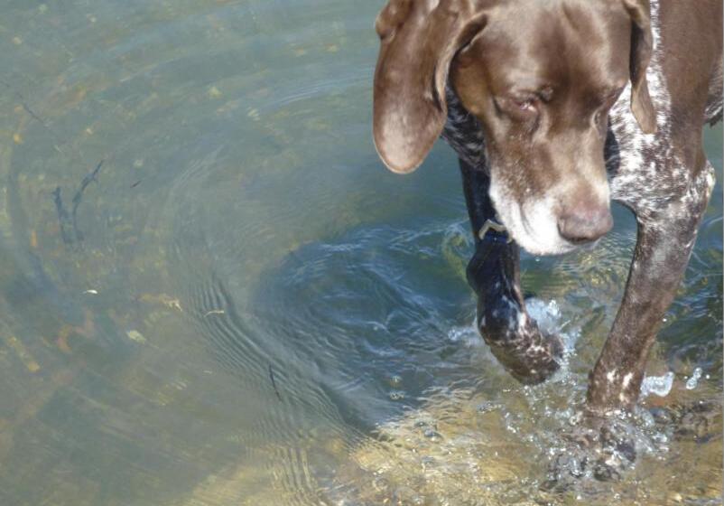 민박 Anchoragewells Next The Sea