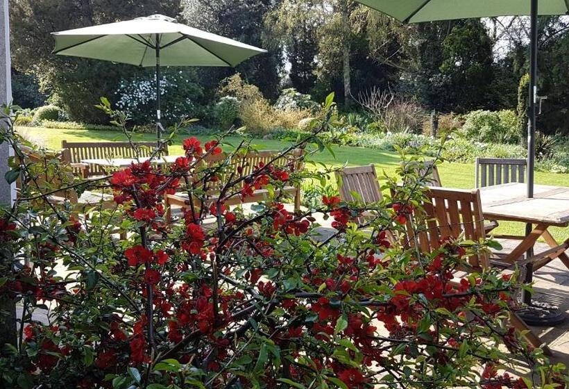 Bed and Breakfast Benslow Music