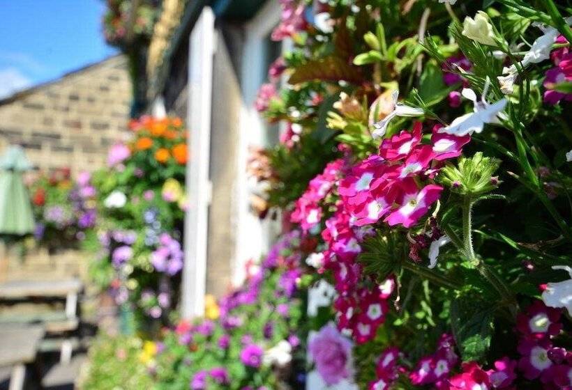 민박 Busfeild Arms