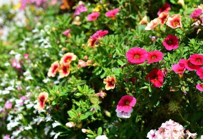 Bed and Breakfast Busfeild Arms